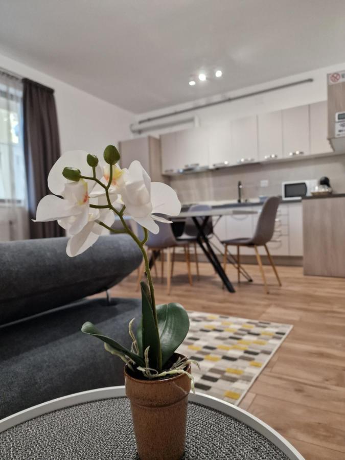 Vic Apartament Drobeta Turnu Severin Luaran gambar