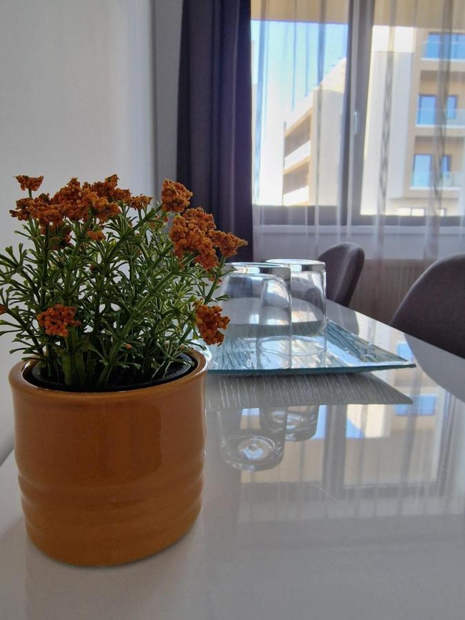 Vic Apartament Drobeta Turnu Severin Luaran gambar
